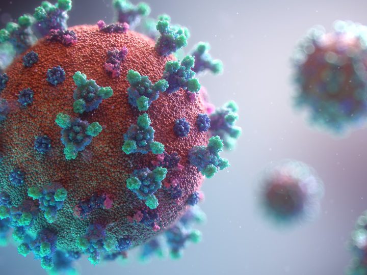 Pierwszy przypadek zarażenia wirusem H3N8 w Chinach